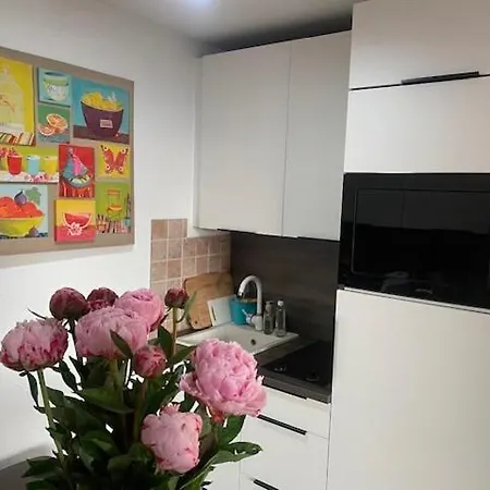 Beautiful F3, Sea View, Panoramic Blonville-sur-Mer