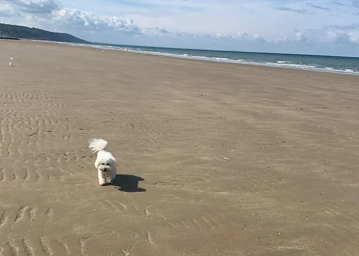 Beautiful F3, Sea View, Panoramic Apartament Blonville-sur-Mer